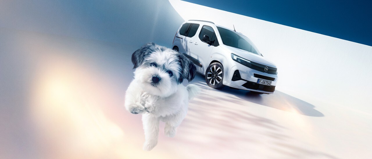 Pogled s prednje strane na bijeli Opel Combo Electric i psa